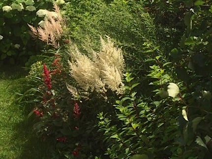 Пример насыщенного цветника на участке таунхауса.
